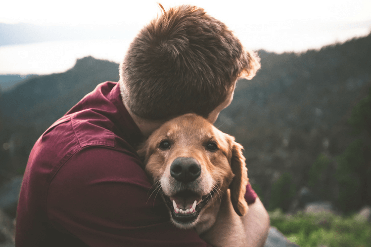 National Dog Day: 10 Ways to Celebrate your Best Friend on a Budget