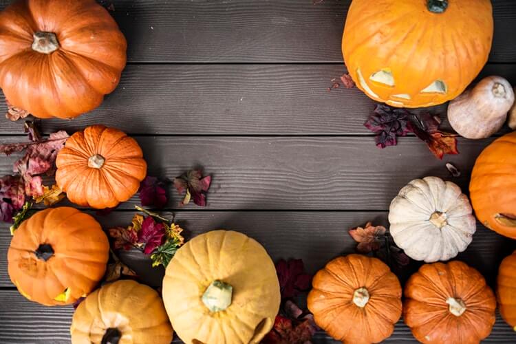 How You Can Bring Your Halloween Home Decor into the Future