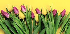 Wholesale Flowers coupons and promo codes