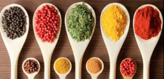 Spices, Herbs and Seasonings coupons and promo codes