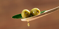 Olive Oil coupons and promo codes