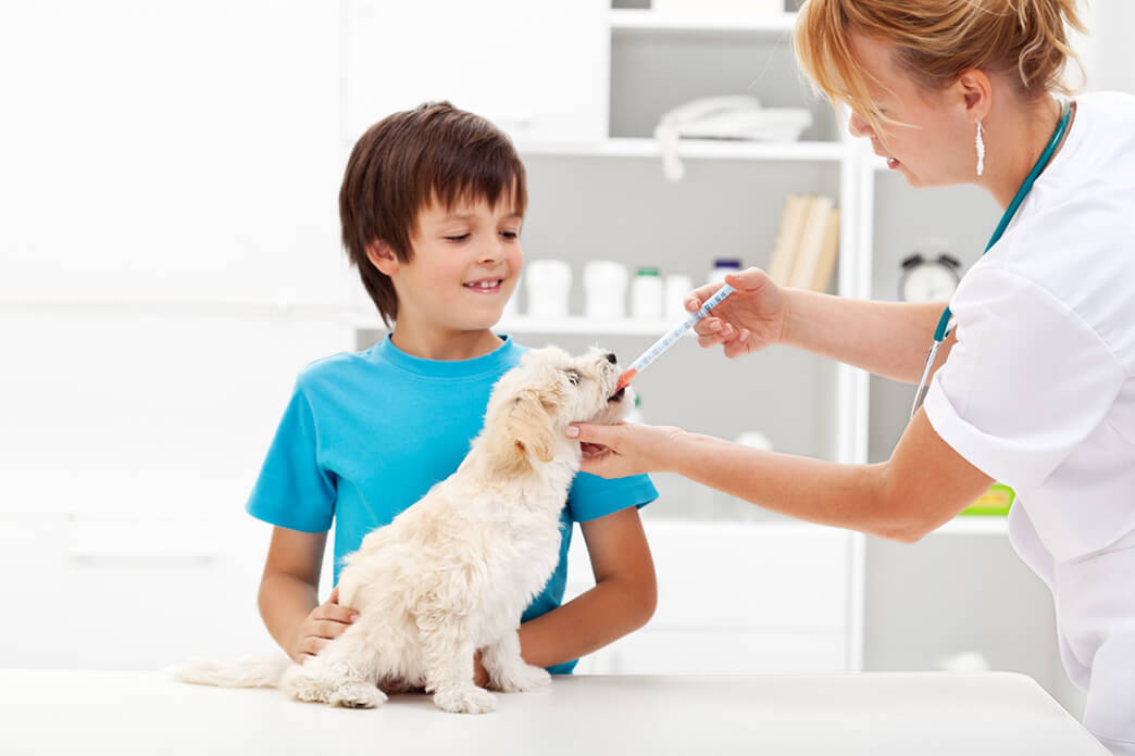 Pet Medication coupons and cashback