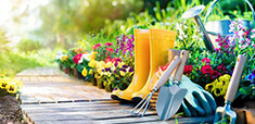 Gardening coupons and promo codes