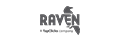 Raven Tools promo codes