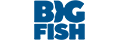 Big Fish Games promo codes