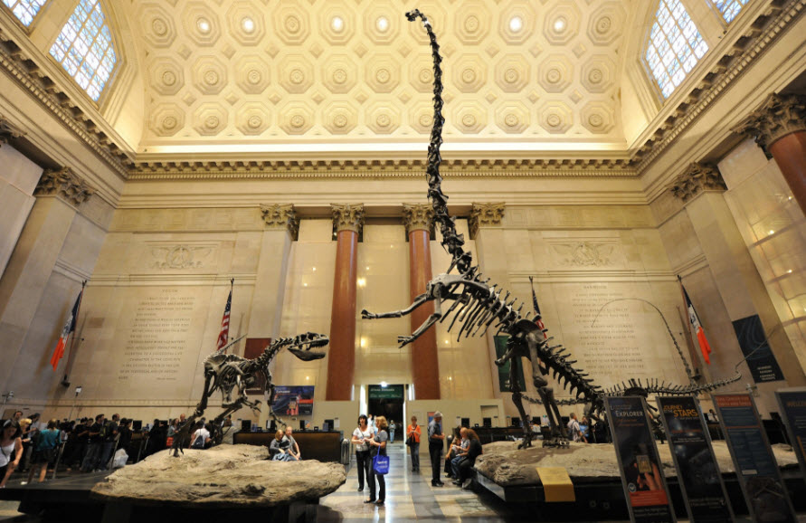 newyork-museums